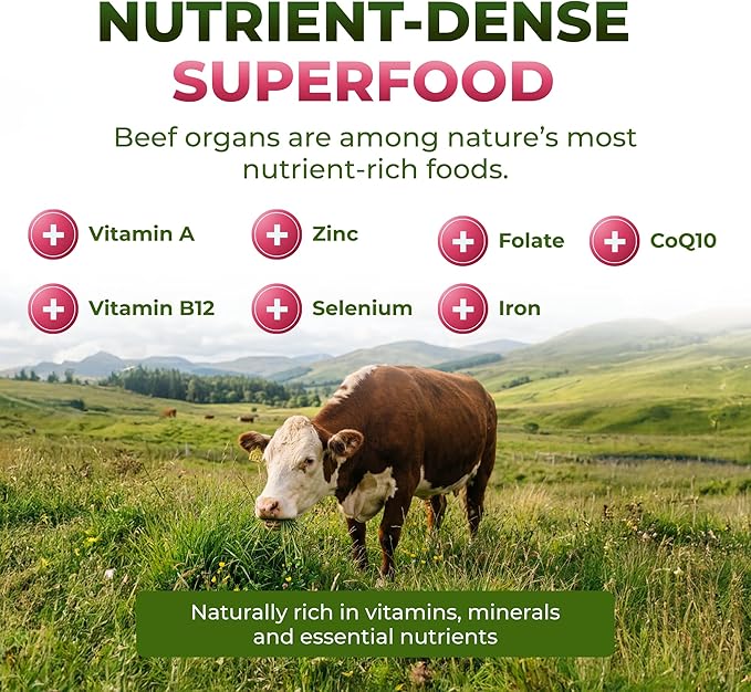 ForestLeaf Beef Organ Supplement for Women - Zero Fillers, Grass Fed Beef Organs Complex - 1200mg per Serving - Support Women's Energy & Overall Health - 120 Capsules