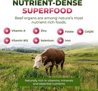 ForestLeaf Beef Organ Supplement for Women - Zero Fillers, Grass Fed Beef Organs Complex - 1200mg per Serving - Support Women's Energy & Overall Health - 120 Capsules