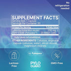 Microbiome Labs PyloGuard - Patented L reuteri DSM17648 to Improve Digestive Comfort - Gut Health & Immune Support Supplement - Postbiotic (30 Capsules)
