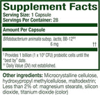 Align Probiotic, Gut Health + Immune Support Probiotic, Probiotics for Women and Men, Probiotics for Digestive Health and Immune Health, #1 Doctor Recommended Brand‡, 28 Capsules