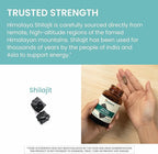 Himalaya Shilajit - Herbal Energy Supplements with Fulvic Acid and 85+ Trace Minerals, from Shilajit Resin, Vegan, Non-GMO, Gluten Free, 250 mg, 60 Capsules