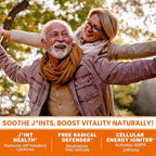 5 in 1 Turmeric Curcumin Softgels 2000mg with Milk Thistle Seed Extract & Black Pepper, Ginger Root - Immune, Liver Support - 95% Curcuminoids - Turmeric and Ginger Supplement Softgel Capsules
