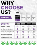 Renew Actives Tart Cherry Extra 500mg per 2 Capsules – High-Potency Antioxidant for Free Radical Protection & Wellness – 60 Easy-to-Swallow Capsules – Made in Canada