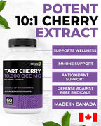 Renew Actives Tart Cherry Extra 500mg per 2 Capsules – High-Potency Antioxidant for Free Radical Protection & Wellness – 60 Easy-to-Swallow Capsules – Made in Canada