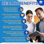 2 Pack Methylated Multivitamin for Men & Women Gummies + Greens & Mushroom Blend, Methylfolate & B12, TMG, Choline, Daily Vitamin A, C, D3K2, E, B Complex, Coq10, ALA for Overall Wellness, Sugar Free