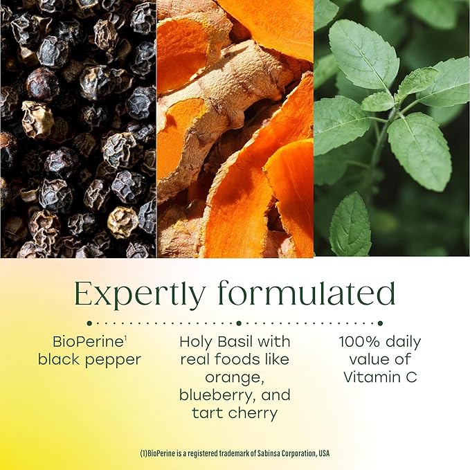 MegaFood Daily Turmeric Powder - Nutrient Booster - Turmeric Supplement with Black Pepper Extract, Vitamin C, Tart Cherry & Holy Basil Leaf, Vegan, Non-GMO, 2.08 Oz (30 Servings)