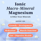 Trace Minerals for Kids – Concentrated Electrolyte Drops with Ionic Magnesium & Sea Minerals for Hydration, Muscle Function, and Daily Mineral Support – 2oz Unflavored Liquid Trace Mineral Drops