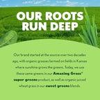 Amazing Grass Greens Blend Superfood Capsules: Super Greens with Organic Spirulina, Chlorella, Beet Root Powder, Digestive Enzymes & Probiotics, 150 Capsules (Packaging May Vary)