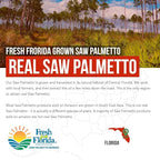 Saw Palmetto Extract – 10X Potency, Pharmaceutical Grade Strength - Plus Pumpkin Seed Oil - Supports Prostate Health, Relieves Urination Issues, Supports Hair Growth, DHT Blocker – 60 Softgels