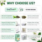 LeafLea 40 Jasmine Green Tea Bags, Premium Green Tea Scented with Jasmine Flowers for Gentle Support & Light Alertness, Floral Smoothness, Caffeinated, Sugar-Free, Non-GMO, Vegan, Individually Wrapped