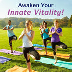 Innate Vitality Organic Milk Thistle Supplement, 300mg Extract, 80% Silymarin Flavonoids, Liver Health, Detox & Cleansing, Made in USA, Non-GMO, 120 Veggie Capsules