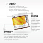 Kion Aminos Essential Amino Acids Supplement - Amino Acid Powder, Amino Energy Powder, Essential Energy Without Caffeine, Essential Amino Acids, BCAA EAA - 30 Servings, Cool Lime