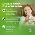 Nootropic Memory Supplement for Brain Support - Memory Pills for Brain Boost and Natural Energy Booster - VIT B12 Bacopa Monnieri Rhodiola Rosea DMAE Ginkgo Biloba Phosphatidylserine Supplement 2pack