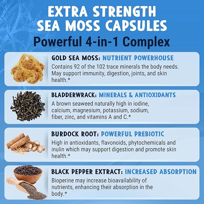 MAJU 4-in-1 Organic Sea Moss Capsules, Wild Chondrus Crispus, Seamoss w/Bladderwrack + Burdock Root, Stronger Than Gel, Irish, Sebi Inspired Raw Powder in Pills, 500 mg Capsule (60 ct)