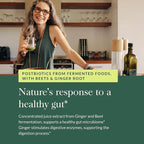Gaia Herbs Ginger-Beet Postbiotic - Supplement for Gut & Heart Health Support* - Made with Fermented Beets & Ginger - Free from Dairy, Soy & Gluten - 60 Vegan Liquid Phyto-Caps (30 Servings)