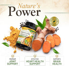 Turmeric Curcumin Supplement 1500mg - Organic Tumeric & BioPerine Black Pepper for Best Absorption with 95% Curcuminoids, Nature's Joint & Immune Support, Non-GMO, Bottled in USA - 360 Capsules
