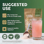 GutResto Fiber Supplement Psyllium Husk Powder Probiotic Gut Health Digestive Enzymes Prebiotic L-Glutamine Slippery Elm Aloe Vera Marshmallow Root Turmeric Ginger Peppermint by Clean Nutra 30 Svgs