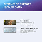 DR. EMIL NUTRITION Men & Women Spermidine 5mg Supplements | Aging Supplement | Pure Spermidine 3HCL & Thiamin 20mg | 60 Capsules | 30 Day Supply