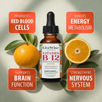 Organic Vitamin B12 1000 mcg Sublingual Liquid Drops For Adults, 6 Months Supply 1 oz, Methylcobalamin & Adenosylcobalamin - Bioactive Blend for Energy, Clarity & Focus - Vegan, Non-GMO, Orange Flavor