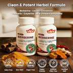 VEV Berberine Supplement with Ceylon Cinnamon for Daily Wellness Support, Vegan & Non-GMO – 2 Bottles (240 Capsules Total)