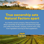 NATURAL FACTORS Wild Alask Salmon Oil, 90 CT