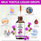 Milk Thistle Liquid Drops,Milk Thistle Supplement for Liver Wellness,Digestive Health,Liquid Pure Vegan Milk Thistle Extract 600 mg per Serving,Sugar & Alcohol-Free,Non-GMO, 2.02 Fl Oz