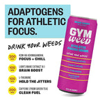 GYM WEED Athletic Focus Drink with KSM-66 Ashwagandha, Lion's Mane Mushroom, L-Theanine, 200mg Green Tea Caffeine with Natural Sweeteners Brain Candy Flavor, 12 Pack