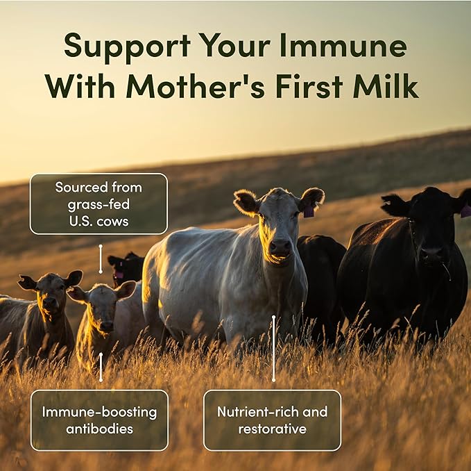 Rhea Bovine Colostrum Supplement for Women, Colostrum Capsules for Gut Health, Digestion, Bloating, Beauty, Immune Support, Bovine Colostrum for Humans, Colostrum Pills (60caps)