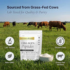 The Intelligent Health FORTIBONE®, FORTIGEL® & VERISOL®, Premium Bioactive Collagen Peptides Powder, Bone Support Functional Blend, Grass Fed Bovine Hydrolyzed Collagen, Unflavored, 30 Servings