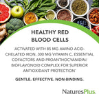 NaturesPlus Hema-Plex Iron - 60 Fast-Acting Softgels - 3 Pack - 85 mg Iron + Vitamin C & Bioflavonoids for Healthy Red Blood Cells - Gluten Free - 60 Total Servings