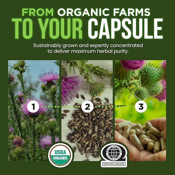OmniBiotics Organic Milk Thistle Supplement 1500mg – 4X Concentrated Extract with Silymarin – High Potency Liver Detox & Support – 120 Vegan Capsules