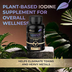 LAMIVIT Plant-Based Iodine Supplement for Thyroid Support – Natural Sea Kelp (Laminaria) Iodine Source – 150 mcg Iodine per Capsule – Non-GMO, Vegan, Made in EU – 60 Capsules
