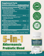 GLP-1 Supplement 100 Billion Akkermansia Probiotic & Prebiotic for Gut Health & Digestion, Metabolism & Energy Support with Vitamin B2 & D, Green Tea and Chromium - Non-GMO | 180 Capsules