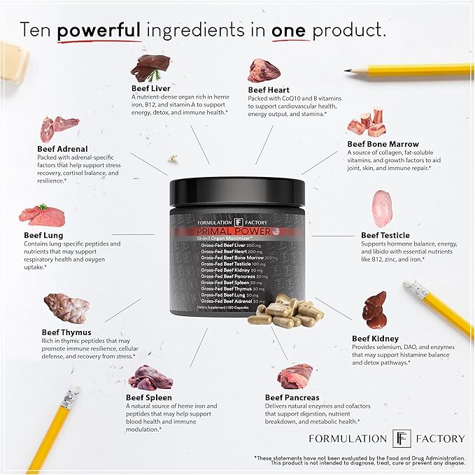Formulation Factory Primal Power 10-in-1 Grass-Fed Organ Supplement with Beef Liver, Heart, Marrow, Testicle, Kidney, Supports Vitality, Hormones, Energy, Immunity (4 Month Supply, 240 Capsules)