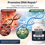 NMN Supplement 1000 mg Pure Nicotinamide Mononucleotide - NAD Precursor for Energy, Cellular Renewal & Longevity Support - Mitochondrial Support 120 Capsules - Vegan, Non GMO, Gluten Free