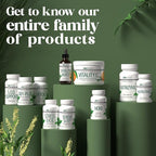 American Nutriceuticals - Vitamin C Powder - Supplement for Immune Support - Natural, Sugar Free -Non-Acidic - 4000mg