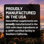 NatureWise Extra Strength Turmeric Curcumin 1000mg with Hydro-Soluble Technology for Ultra Absorption - 400mg Curcuminoids for Immune Support - Vegan, Non-GMO, 60 Capsules[30-Day Supply]