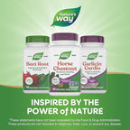 Nature's Way Horse Chestnut Extract, Premium Extract, Promotes Healthy Leg Veins*, 250 mg per Serving, Vegan, 90 Capsules (Packaging May Vary)