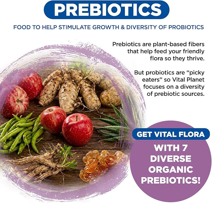 Vital Planet - Vital Flora Probiotics for Women 60 Billion CFU, Diverse Strains, Daily Shelf Stable Probiotic with Organic Prebiotics, for Vaginal Support, Immune and Digestive Health 60 Capsules