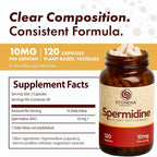 STONERA Spermidine Supplement, Cellular Renewal & Longevity Support - Optimized High Purity, 10mg per Serving, 120 Capsules Third-Party Tested