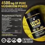 KEY ELEMENTS Organic Lions Mane Supplement Capsules with MCT Oil for Brain Support & Relaxed Focus - Lion's Mane Extract with Ashwagandha and L-Theanine - Lions Mane Mushroom Softgels