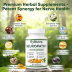 Rynutra Nerve Support – Nerve Health & Wellness Supplement with Vitamins C, B12, – Supports Energy, Nervous System & Overall Well-Being, 60 Capsules