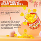 Berberine Supplement Gummies Sugar Free, Extra Absorption with Liposomal Berberine & Berberine HCI, Calcium, Magnesium, AMPK Activitor for Sugar & Level, Immune, Energy, Metabolism -Pack of 2