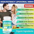 Liposomal NMNH (Dihydronicotinamide Mononucleotide) 500mg - NMN Supplement Alternative - NMNH Supplement to Boost NAD+ Levels as We Age, for Anti-Aging, Energy & Focus - 3 Packs