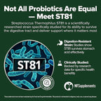 Streptococcus Thermophilus Probiotic 240 Tablets (4 Month Supply) – Researched Strain ST81 – 3 Billion CFU – Digestive Health & Lactose Support – GMP Certified (240, Streptococcus Thermophilus)