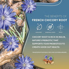 Teeccino Dark Chocolate Prebiotic SuperBoost™ Herbal Tea - Support Your Probiotics with Vegan GOS & Organic XOS For Good Gut Health and Regularity, 25 Tea Bags
