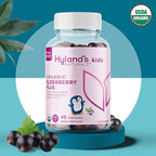 Hyland's Kids Organic Elderberry Plus Gummies, Organic Black Elderberry with ZINC and Vitamin C, Immune Support for Children, 48 Vegan Gummies (Pack of 2)