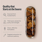 FreshCap Organic Mushroom Capsules Supplement - Fruiting Body Extract (Chaga, 120 Capsules)