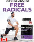 Renew Actives Tart Cherry Extra 500mg per 2 Capsules – High-Potency Antioxidant for Free Radical Protection & Wellness – 60 Easy-to-Swallow Capsules – Made in Canada