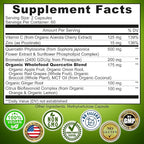 Quercetin with Bromelain Vitamin C and Zinc Enriched with Organic Whole Foods - 1215mg per Serving - Quercetin Phytosome 500mg Capsules with Ginger and Flavonoids for Immune Support - 120 count